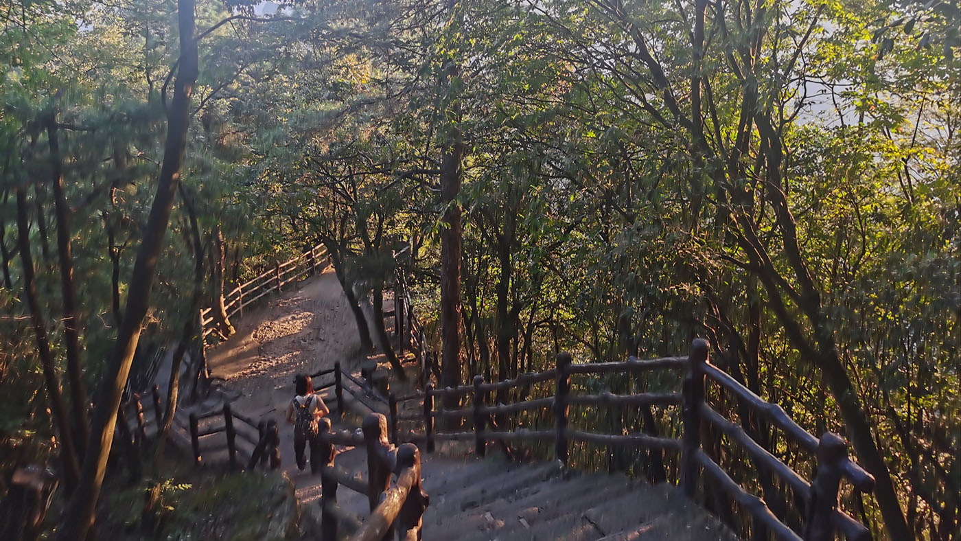 Discover Zhangjiajie: The Real-Life Avatar Mountains of Hunan