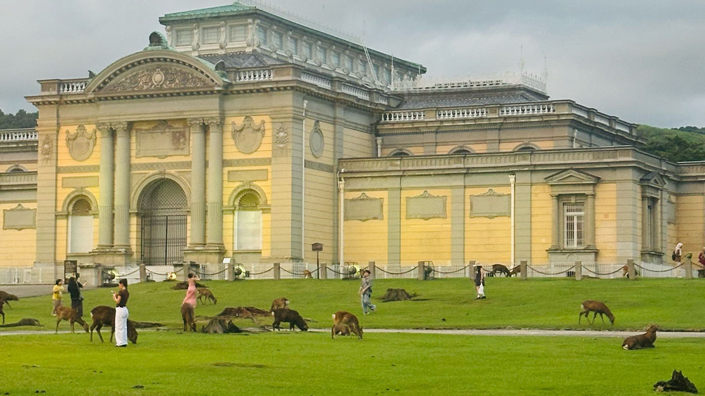 Iconic Nara Deer Park: A Must-Visit in Japan
