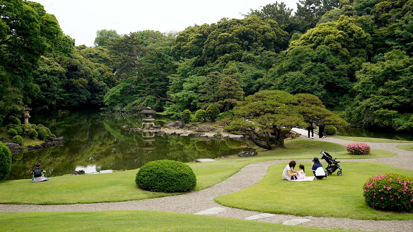 Discover When is the Best Time to Travel to Japan from AU or NZ