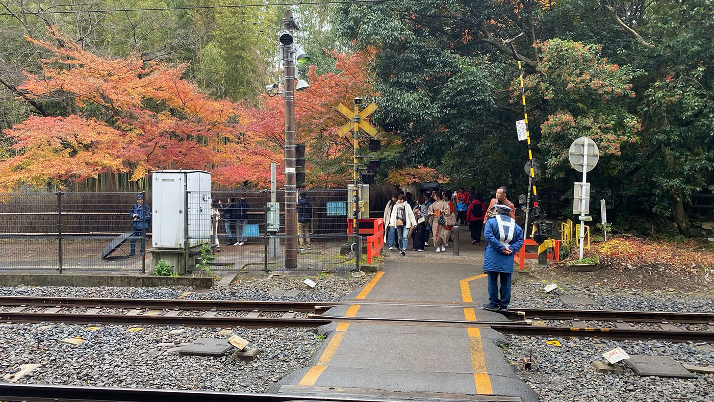 The Ultimate Kyoto Travel Guide 2026: Top Attractions, Temples & Things to Do