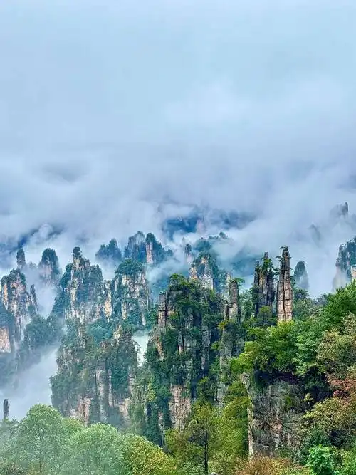 Zhangjiajie One-Day Tour
