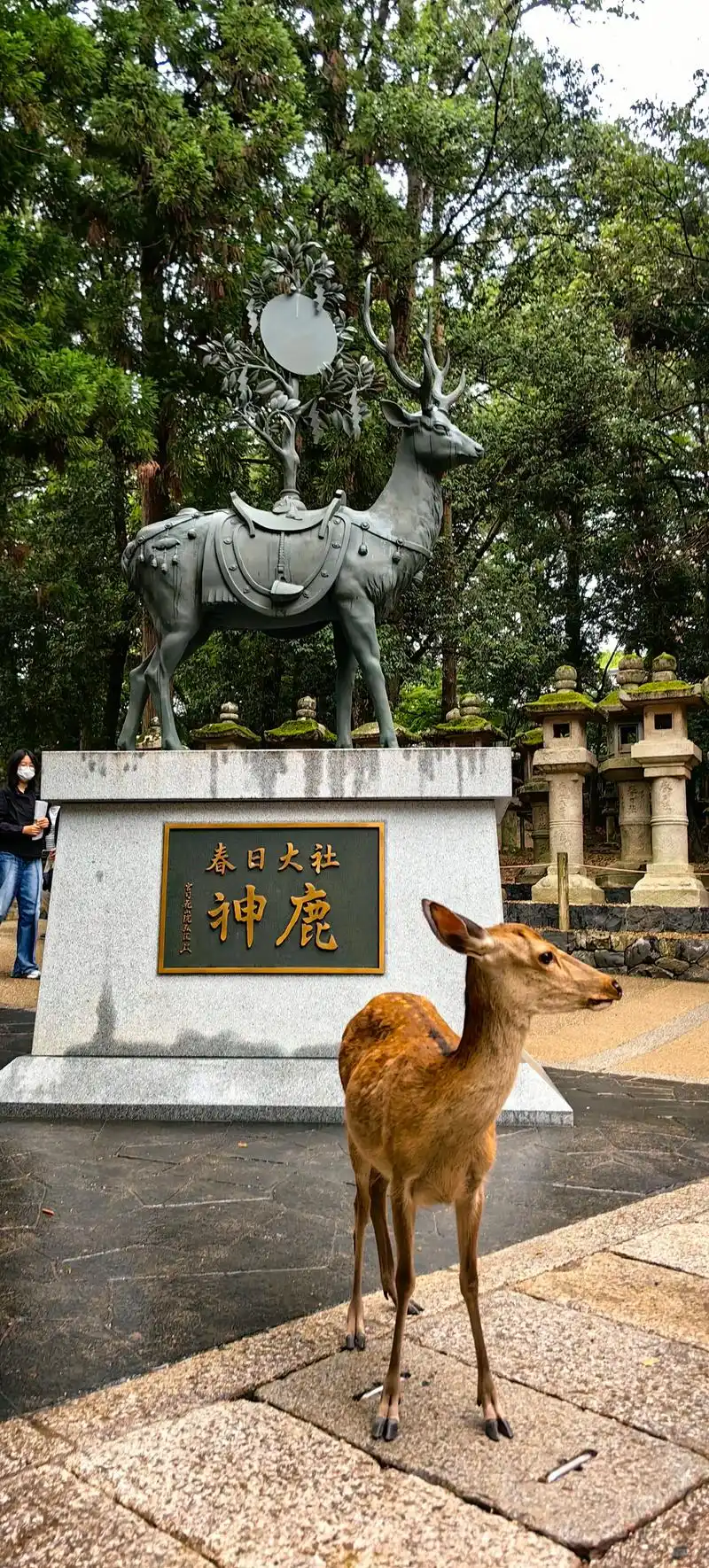 Kasuga Taisha

