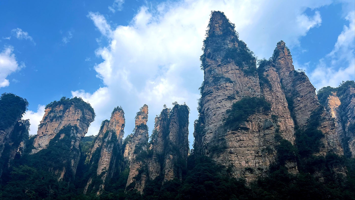 Traditional Chinese Medicine in China: What Foreign Visitors Should Know