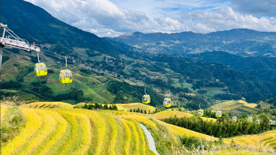 Longji Terraces (Jinkeng with Single Cable Car)