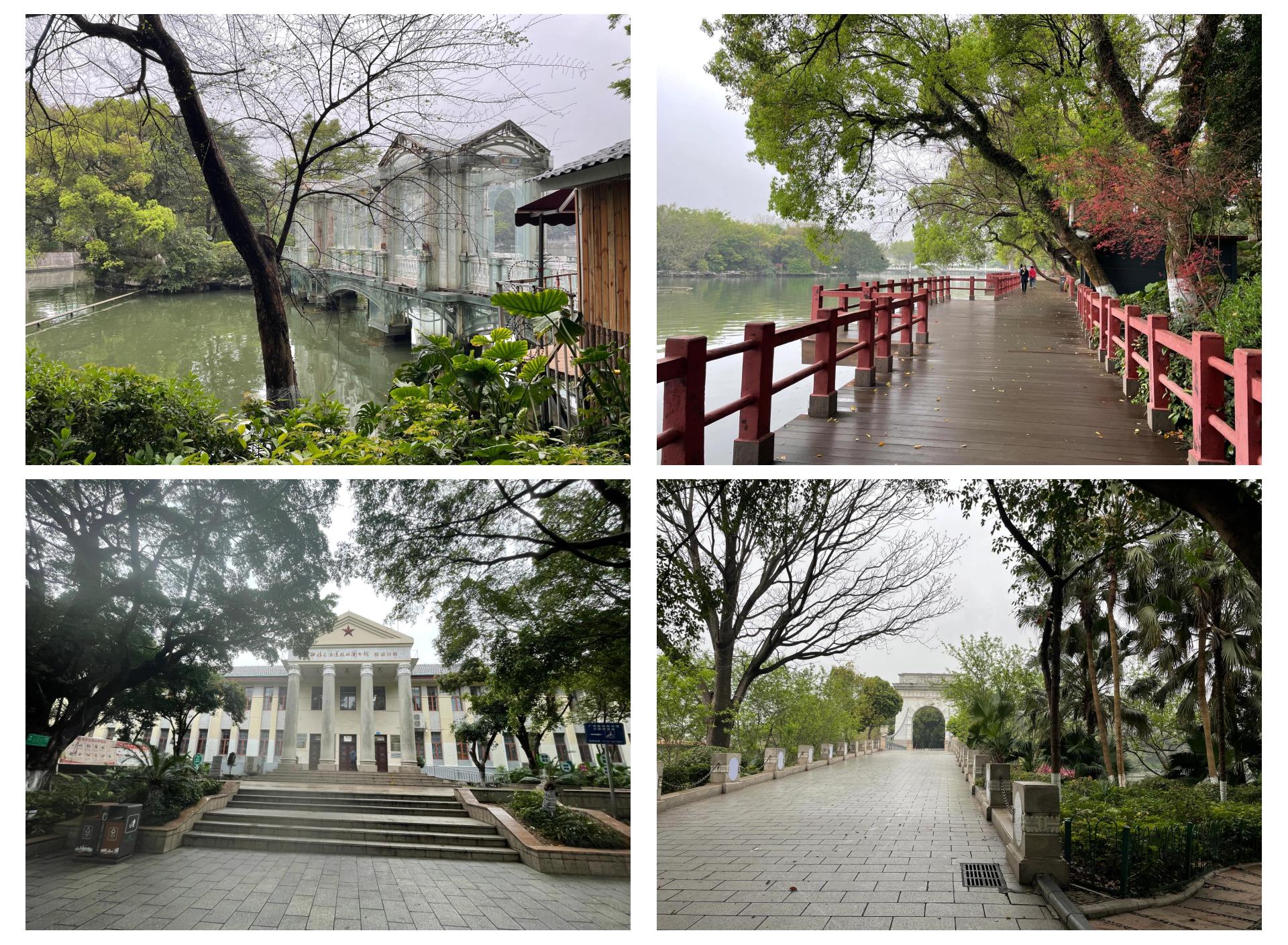 Banyan Lake & Cedar Lake Stroll