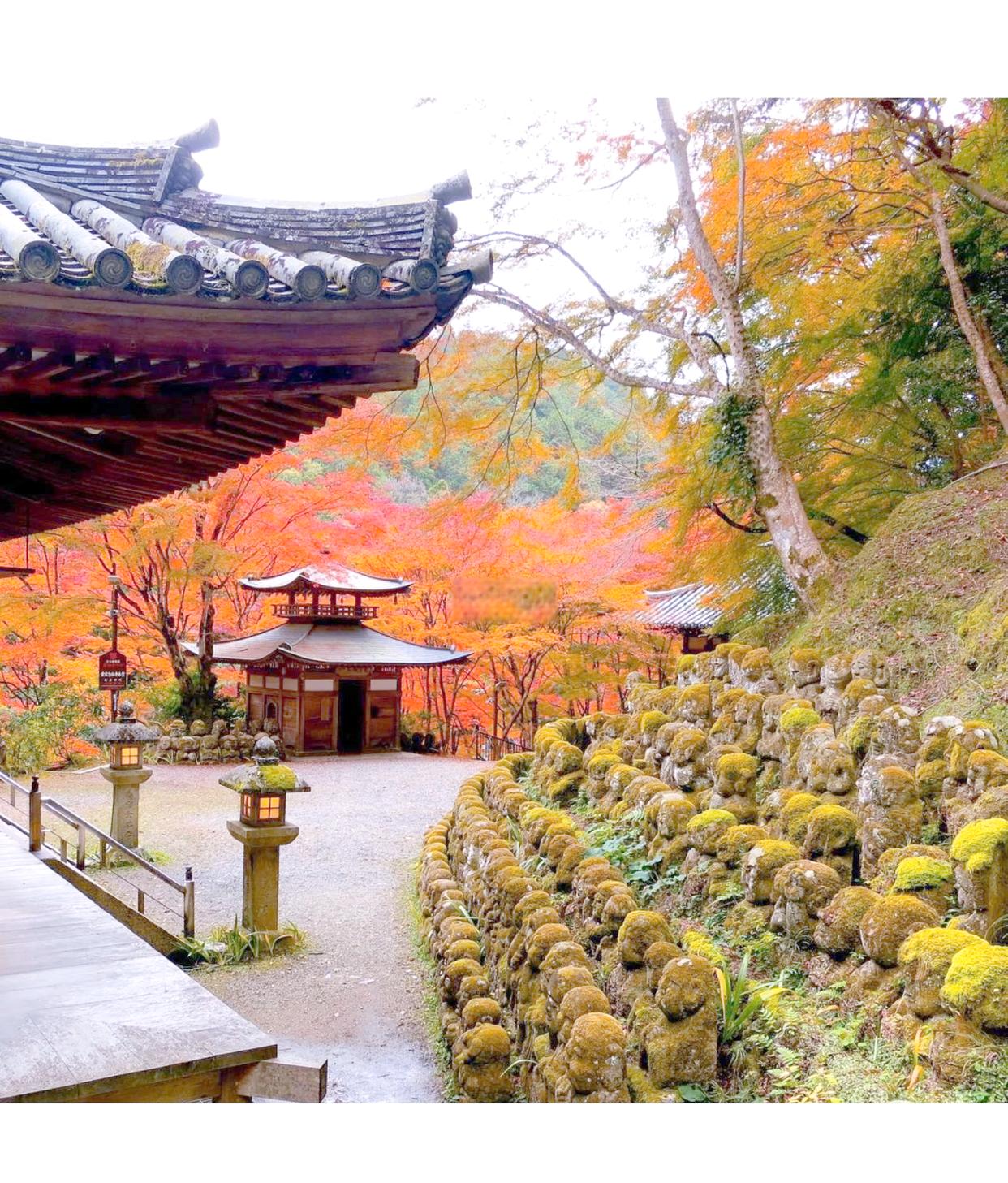 Group Travel in Japan: How to Plan a Trip for 4–10 Friends